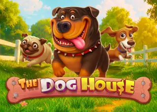 nova88 The Dog House ทดลองเล่นฟรี